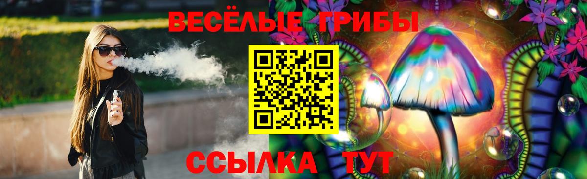 Торжок  Псилоцибиновые грибы Cubensis  дарнет шоп  Вход с VPN  Галлюциногенные грибы Psilocybe 